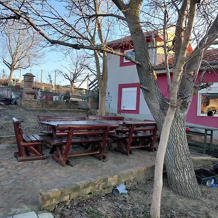 Ranc Petar Alavanja Banstol アパート スレムスキ・カルロヴツィ