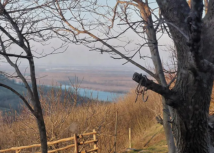 アパート Ranc Petar Alavanja Banstol スレムスキ・カルロヴツィ