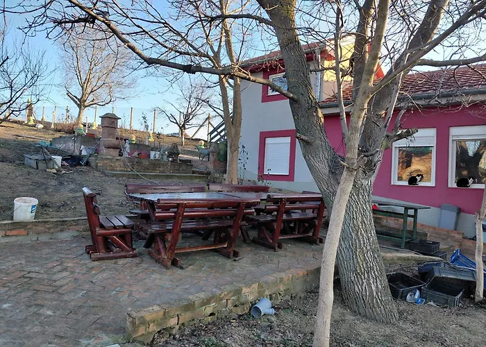 Ranc Petar Alavanja Banstol アパート スレムスキ・カルロヴツィ